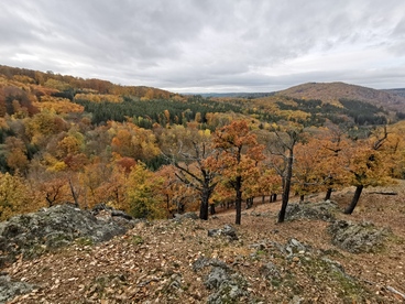 Nesouhlas se zřízením národního parku Křivoklátsko