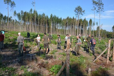 Nestátní vlastníci lesů a ochránci přírody podepsali Memorandum o spolupráci. Lesy jsou priorita