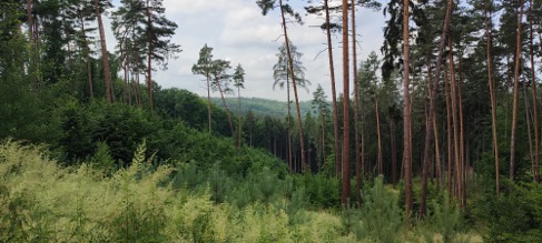 Picture 7
