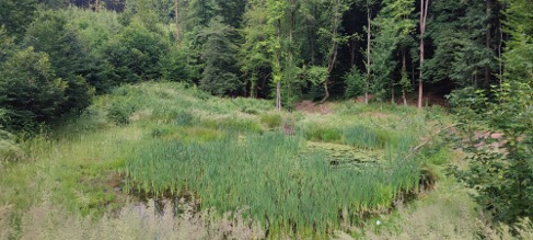 Picture 8
