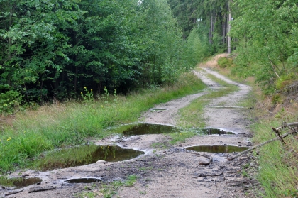 Jak omezit povrchový odtok vody na lesních cestách