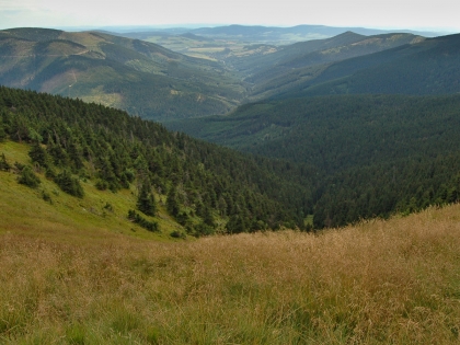 EDIT: SVOL vyzval nestátní vlastníky lesů k pomoci Ukrajině. Kde najdete souhrnné INFO