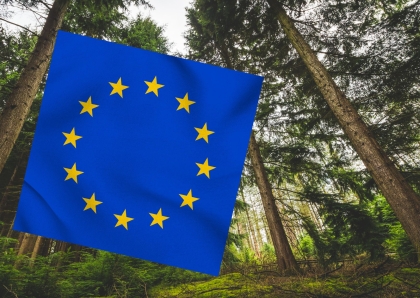 SVOL a ALDP žádají předsedkyni Evropské komise o zásadní revizi nařízení EU o odlesňování (EUDR)